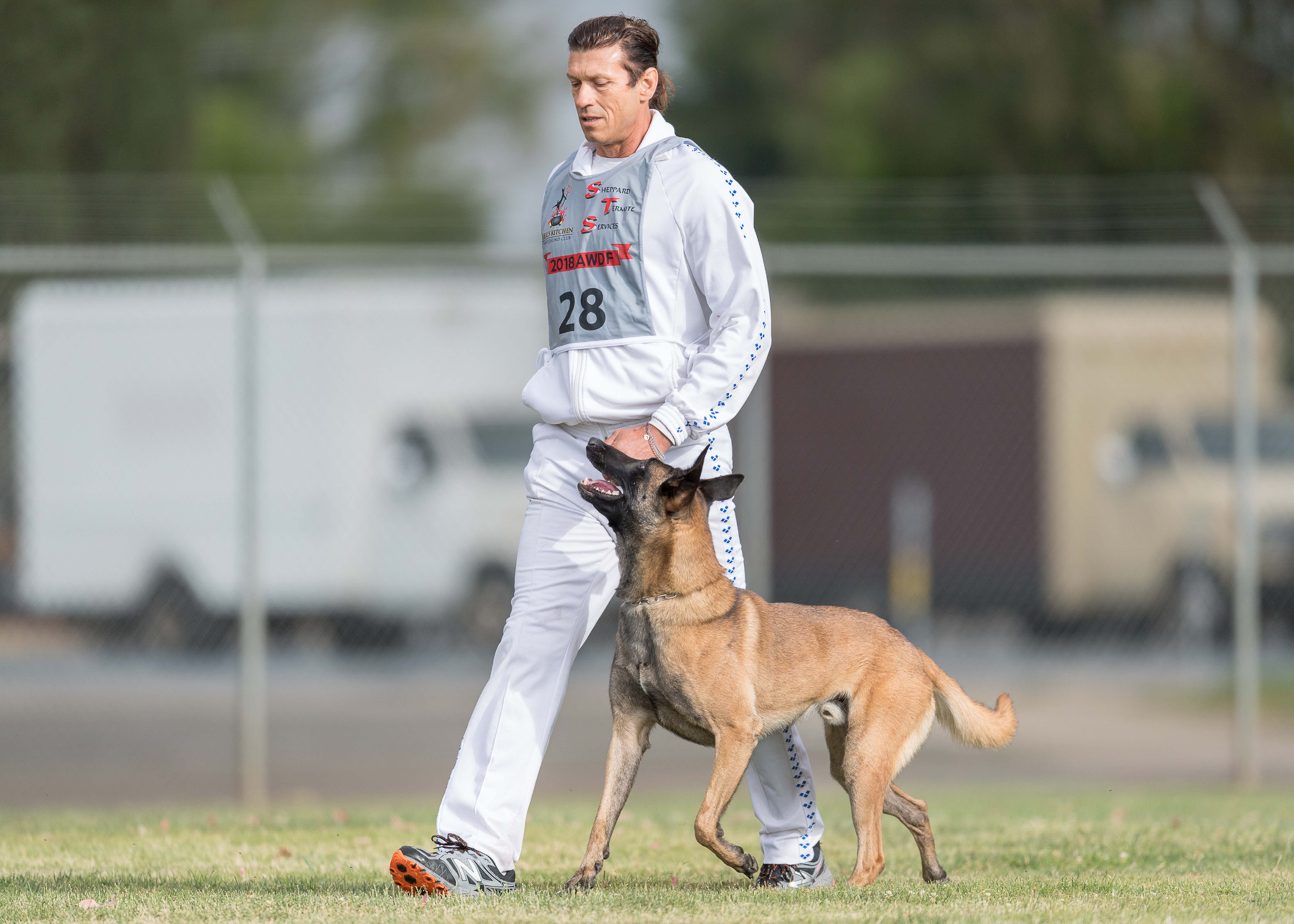 Dog obedience shops competition